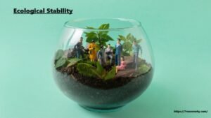 Ecological Stability