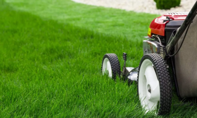 Lawn Aeration Services for a Healthy Yard in Frisco, TX - The Ultimate Guide